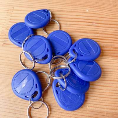 Low Frequency 125 KHZ RFID Keyfob EM 4305 Keychain RFID Key Tag for Access Control